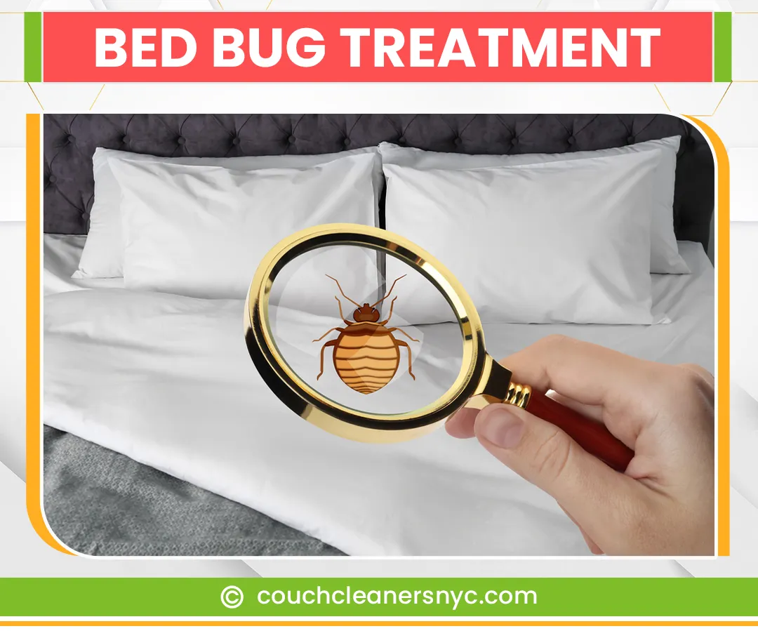 carpet cleaning in NYC, carpet cleaning in new york, carpet cleaning NYC, carpet cleaners in NYC, carpet cleaners in new york, commercial carpet cleaning, commercial carpet cleaning in NYC, NYC rug cleaners, rug cleaning services in NYC, same day carpet cleaning, same day rug cleaning